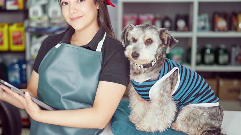 Pet Supply Franchise In Gta